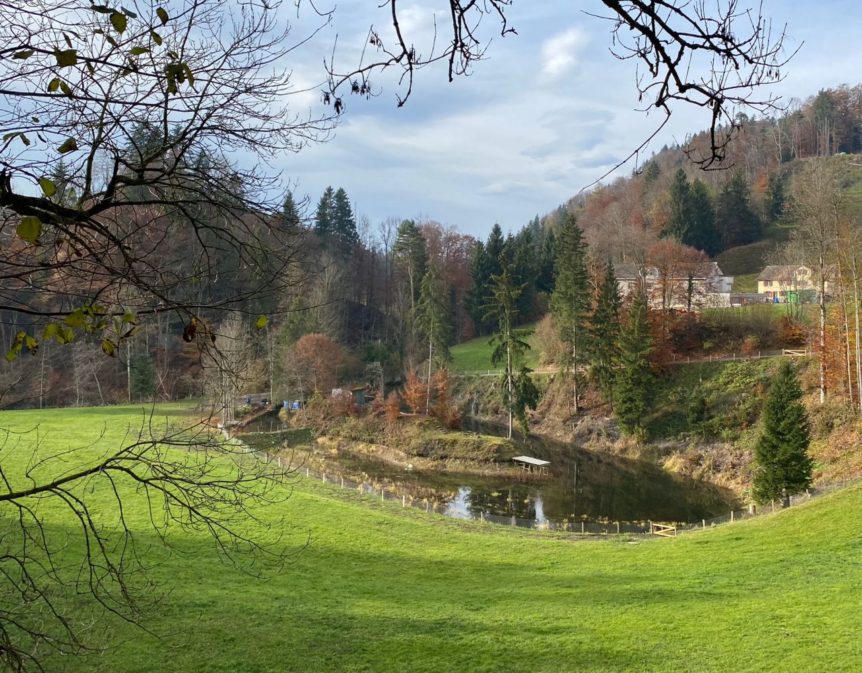 20211110-fitness-plus-wanderung-003