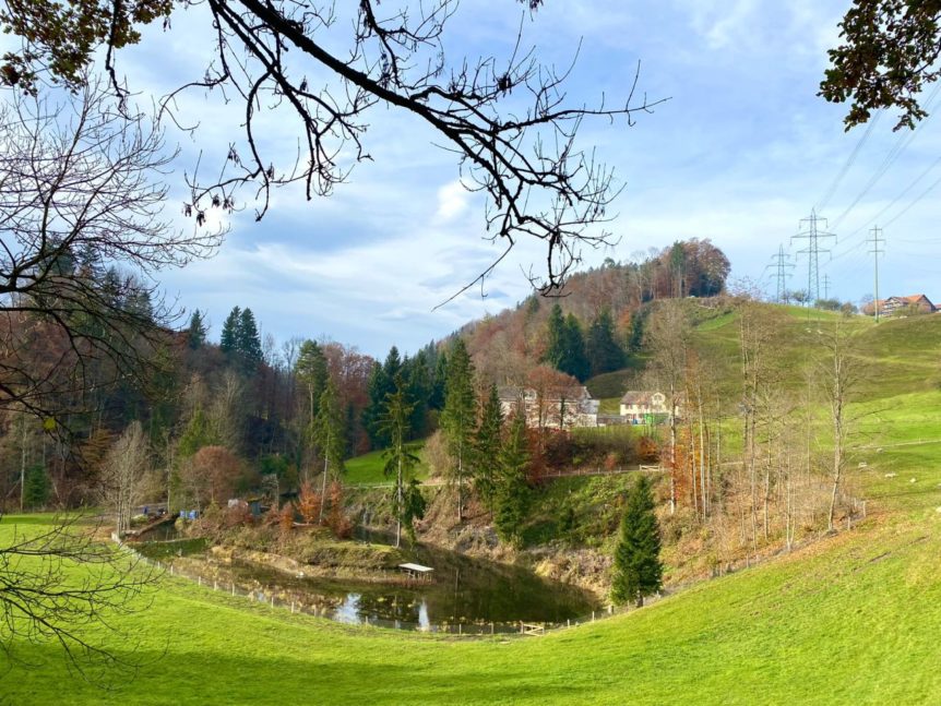 20211110-fitness-plus-wanderung-008