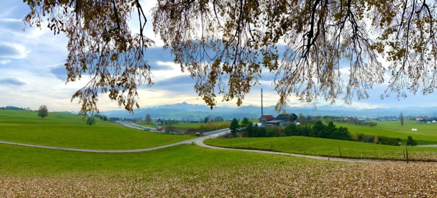 20211110-fitness-plus-wanderung-011