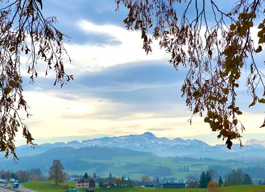 20211110-fitness-plus-wanderung-012