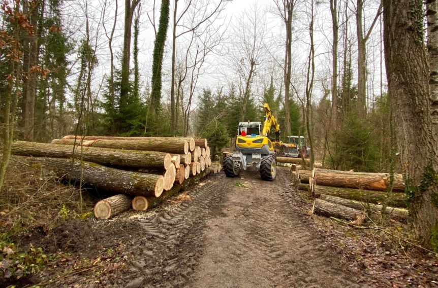 20211215-fitness-plus-wanderung-009