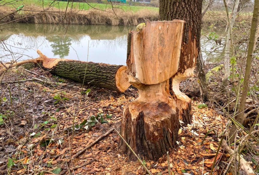 20211215-fitness-plus-wanderung-011