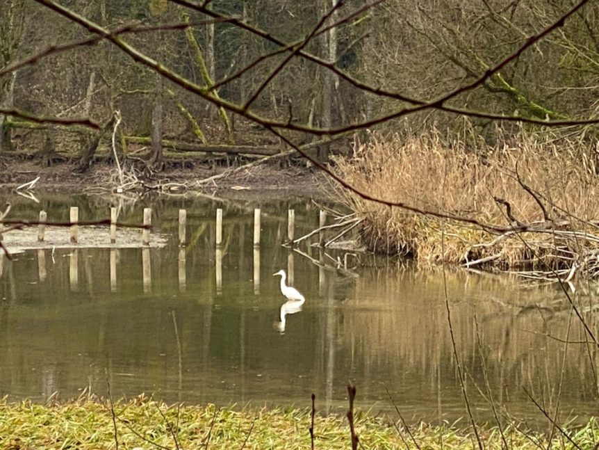 20211215-fitness-plus-wanderung-012