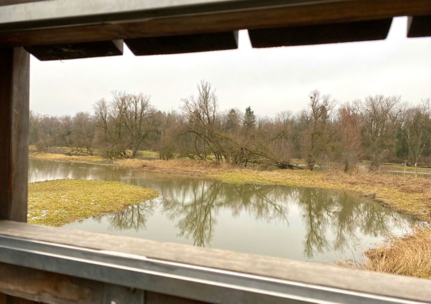 20211215-fitness-plus-wanderung-016